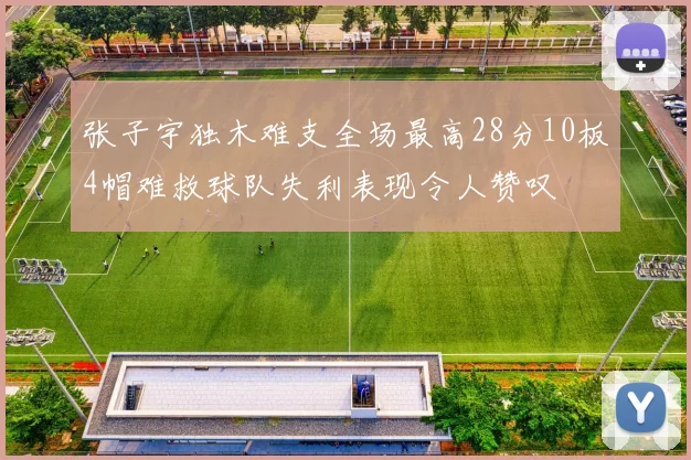 张子宇独木难支全场最高28分10板4帽难救球队失利表现令人赞叹