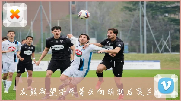 灰熊希望字母哥去向明朗后莫兰特成为其他球队的备选方案