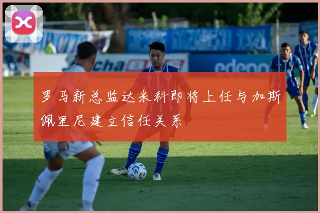 罗马新总监达米科即将上任与加斯佩里尼建立信任关系
